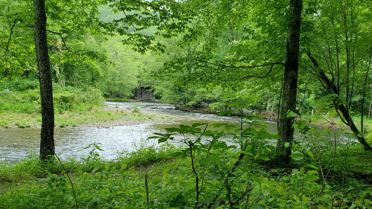 River Trail 